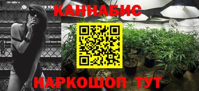 спиды Пугачёв